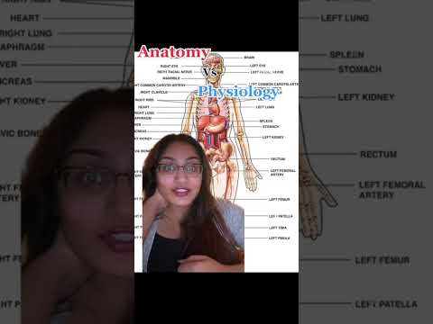 Human Anatomy Insights from McKinley Textbook Perspectives