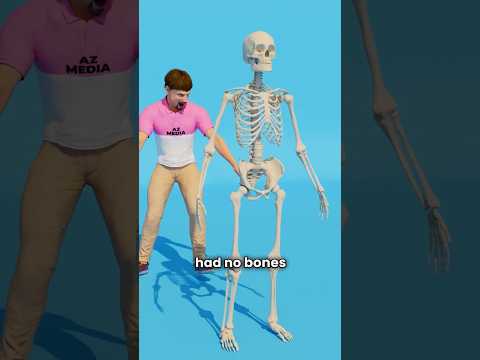 Delving into Mouse Skeleton Anatomy for Scientific Insight
