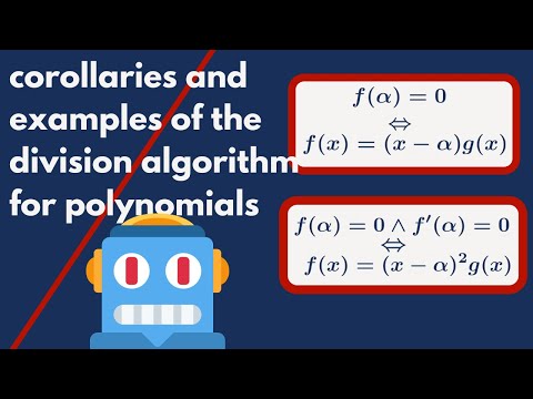 Polynomial Division Algorithm and Its Scientific Significance