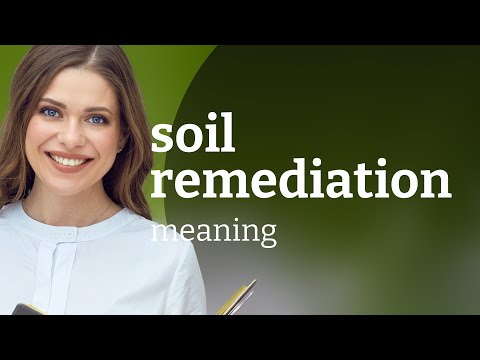 The Vital Role of Soil Ecosystems in Environmental Health