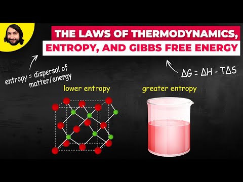 Thermodynamic Principles and Their Practical Applications
