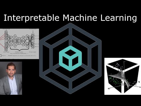 Interpretable Machine Learning for Scientific Research Insights