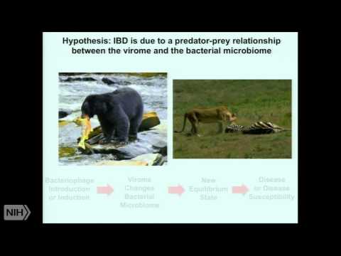 The Role of the WRN Gene in Human Health and Disease