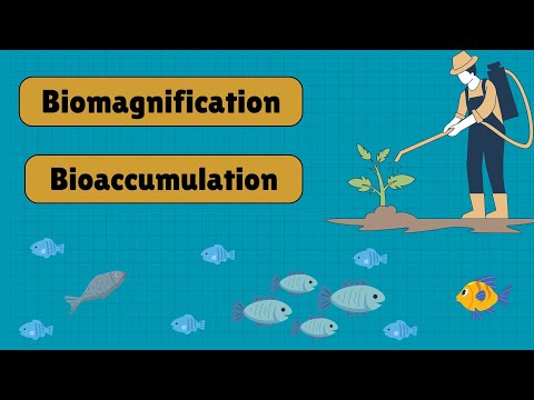 Food Pollution and Its Effects on Health and Ecosystems
