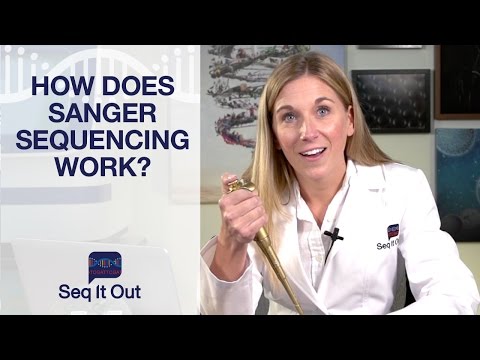 Advancements in Dideoxynucleotide Sequencing Techniques