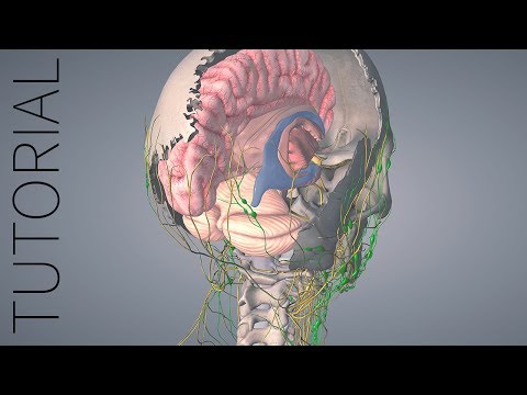 Essential Anatomy 5 and Its Role in Scientific Outreach