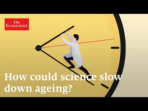 Advancements in Aging Research and Health Promotion
