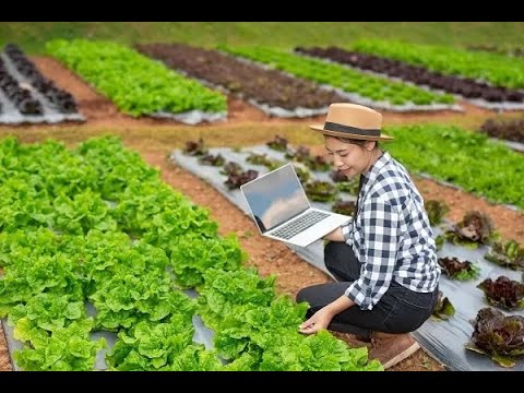 Innovative Practices for Sustainable Agriculture and Environment