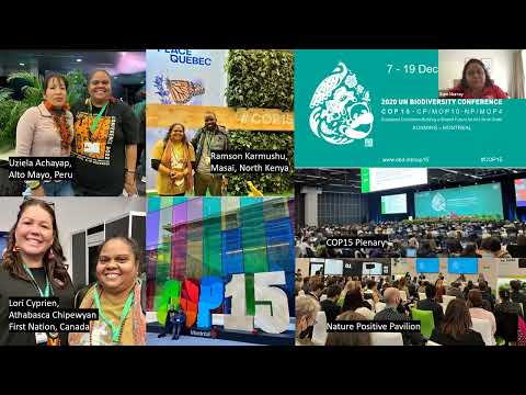 Global Science and the United Nations Biodiversity Agenda