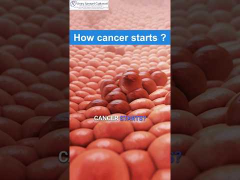 CD117 Pathology Outlines in Cancer Research and Diagnostics
