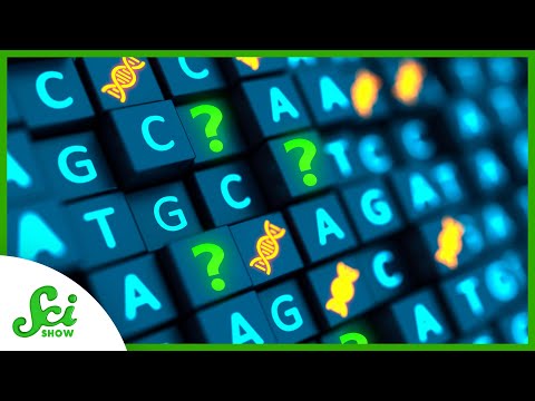 GC Genome Insights and Their Role in Genetic Research