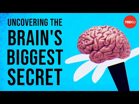 The Fascinating Role of Cajal Neurons in Brain Function