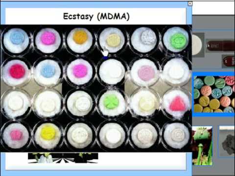 Advancing Science through Toxicology Education Initiatives