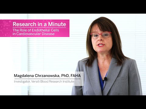 Advancements in Cardiovascular Pharmacology Research and Outreach