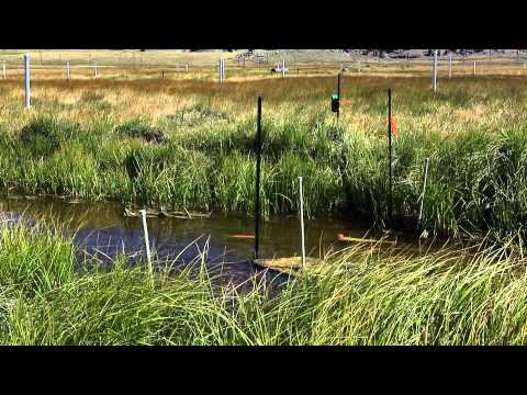 Navigating the Anthropogenic Environment Through Science
