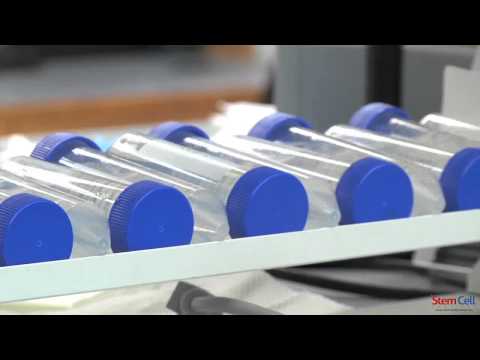 Harnessing Dental Pulp Stem Cells for Regenerative Medicine