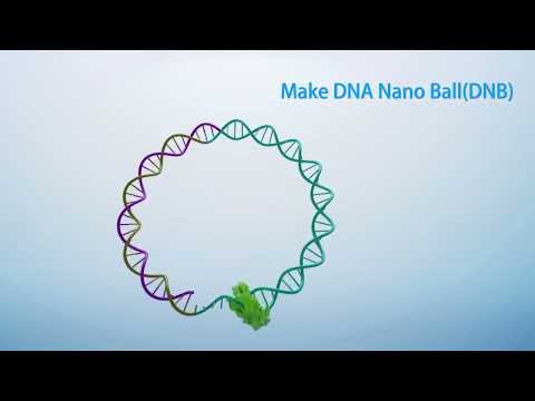 Advances in MGI Sequencing Technology and Its Applications