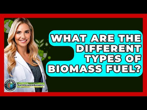 Diverse Types of Biomass Energy and Their Applications