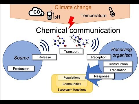 Chemical Ecology: Unraveling Nature’s Chemical Signals