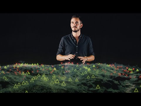 Biodiversity Shifts: Unraveling Nature's Transformations