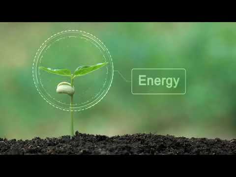 Harnessing Wind Energy with Tesup Turbines for a Greener Tomorrow