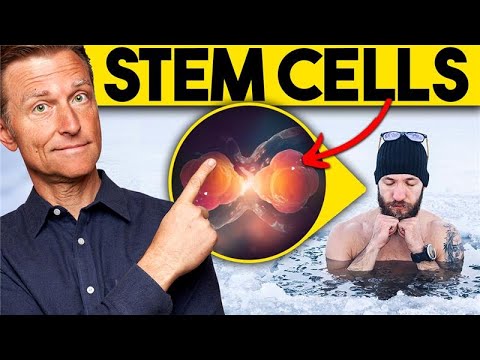 72 Hour Fasting and Its Role in Stem Cell Regeneration