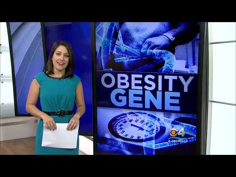 The Role of MC4R Gene in Metabolism and Obesity Research