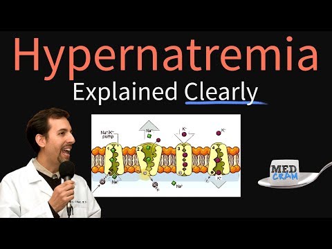 Hypernatremia: Unraveling Its Pathophysiological Mechanisms