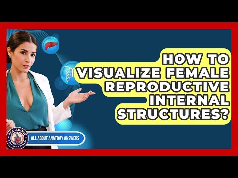 Visualizing Female Body Anatomy for Scientific Education