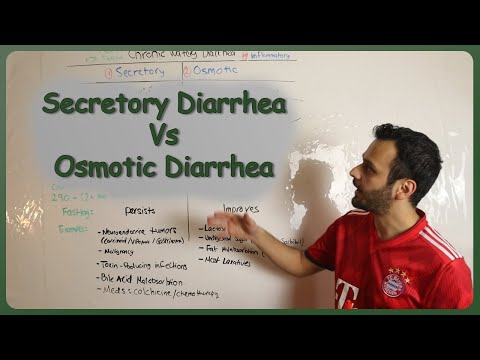 Diarrhea Pathophysiology: Mechanisms and Implications in Health