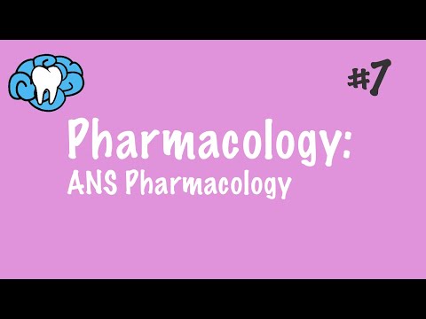 Pharmacology of the Autonomic Nervous System Uncovered