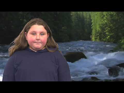 Harnessing the Wonders of Stream Ecosystems for Science