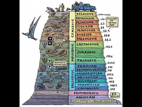 Unveiling the Science of Stock Geology for Sustainability