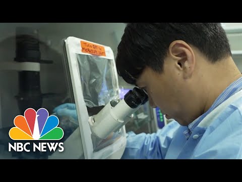 Gene Chips: Advancing Genetic Research and Healthcare Solutions