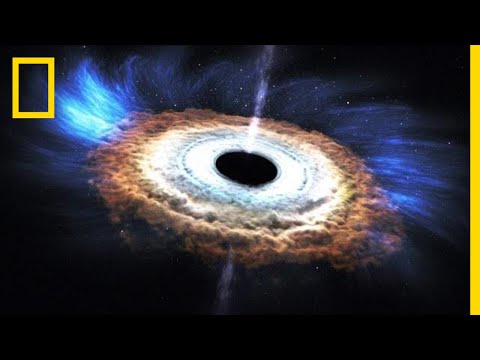 The Fascinating Spectrum of Black Holes in Our Universe