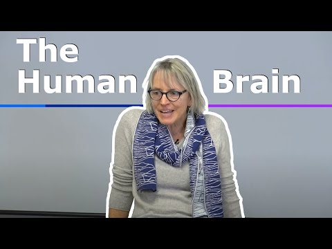 Mapping the Inner Brain: A Scientific Perspective
