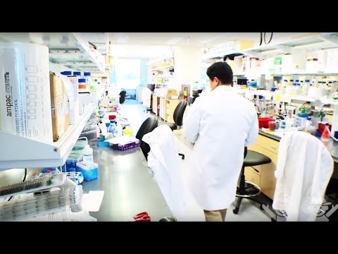 Advancements in Hematology Research at CHOA