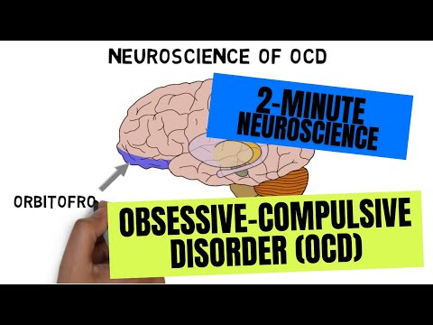 Neuroscience Advances in Understanding OCD Mechanisms