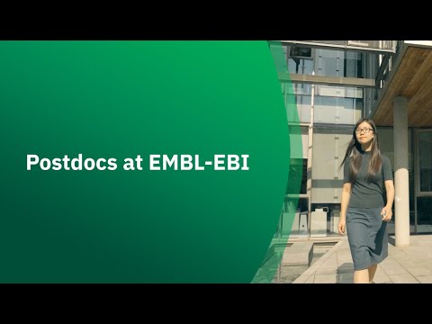 Advancing EBI Bioinformatics for Scientific Innovation