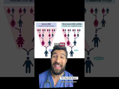 Single Gene Inheritance and Its Role in Genetic Diversity