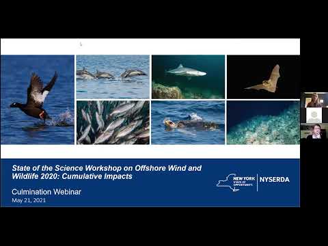 Innovative Science in Offshore Wind Energy Development