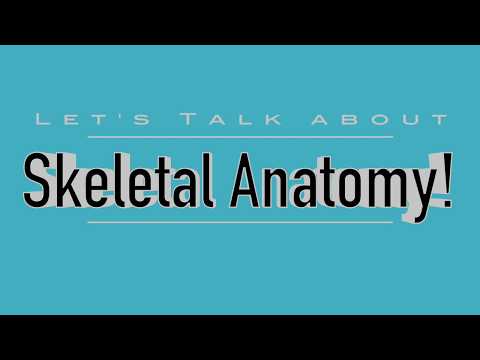 Comparative Anatomy of Cats and Dogs in Scientific Study