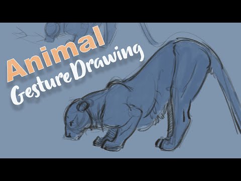 Wolf Anatomy Drawing: A Scientific Perspective on Structure