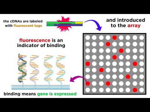 Advancements in Gene Expression Microarray Technology