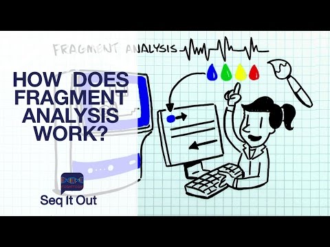 Advancements in Capillary Electrophoresis for DNA Sequencing