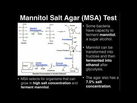 Advancements in MSA Microbiology for Scientific Outreach