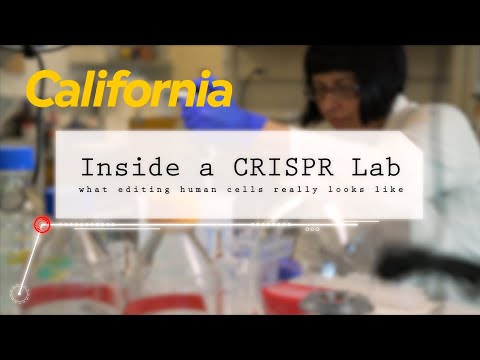 Molecular Biology Examples in Real-World Applications