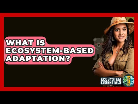 Ecosystem Based Adaptation and Its Role in Climate Resilience