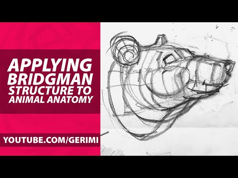 Animal Anatomy for Artists: Insights for Accurate Drawing