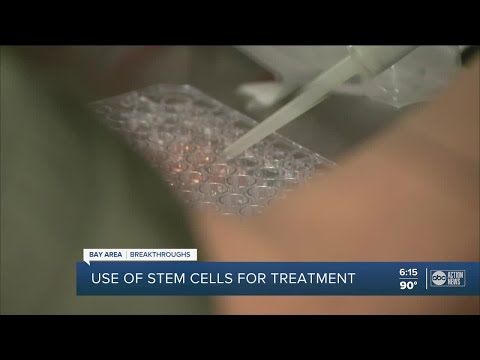Advancements in HSPC Cell Research and Its Implications